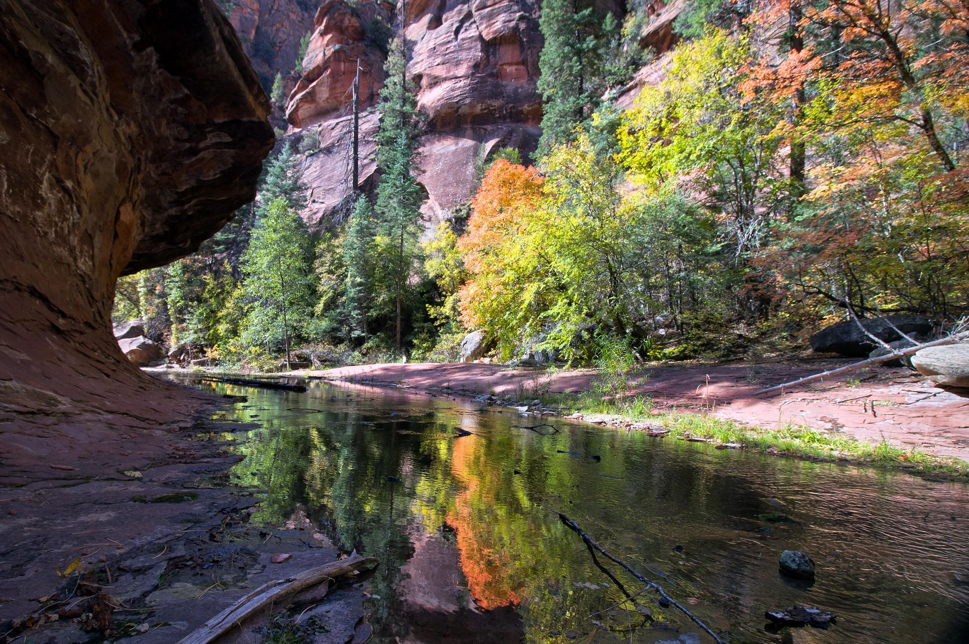 Rocky canyon stream reflecting autumn-colored trees and a cliffside overhang