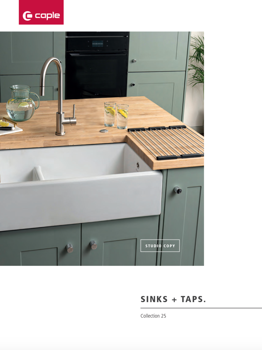 A kitchen with a sink and a potted plant on the counter.