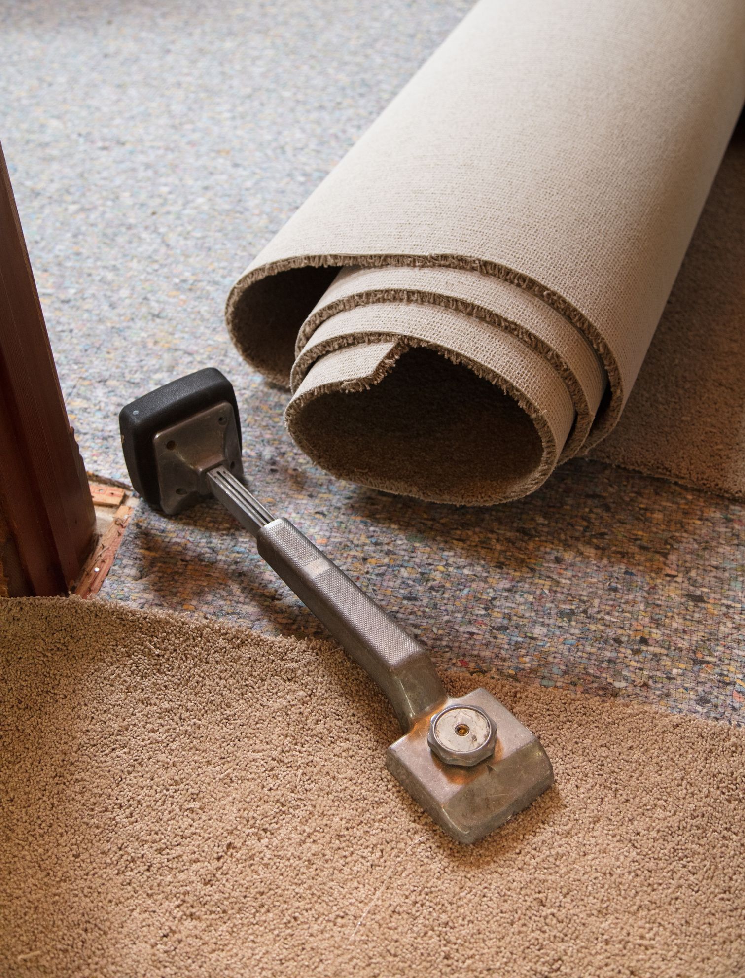 Rolled carpet and carpet stretcher tool on floor.
