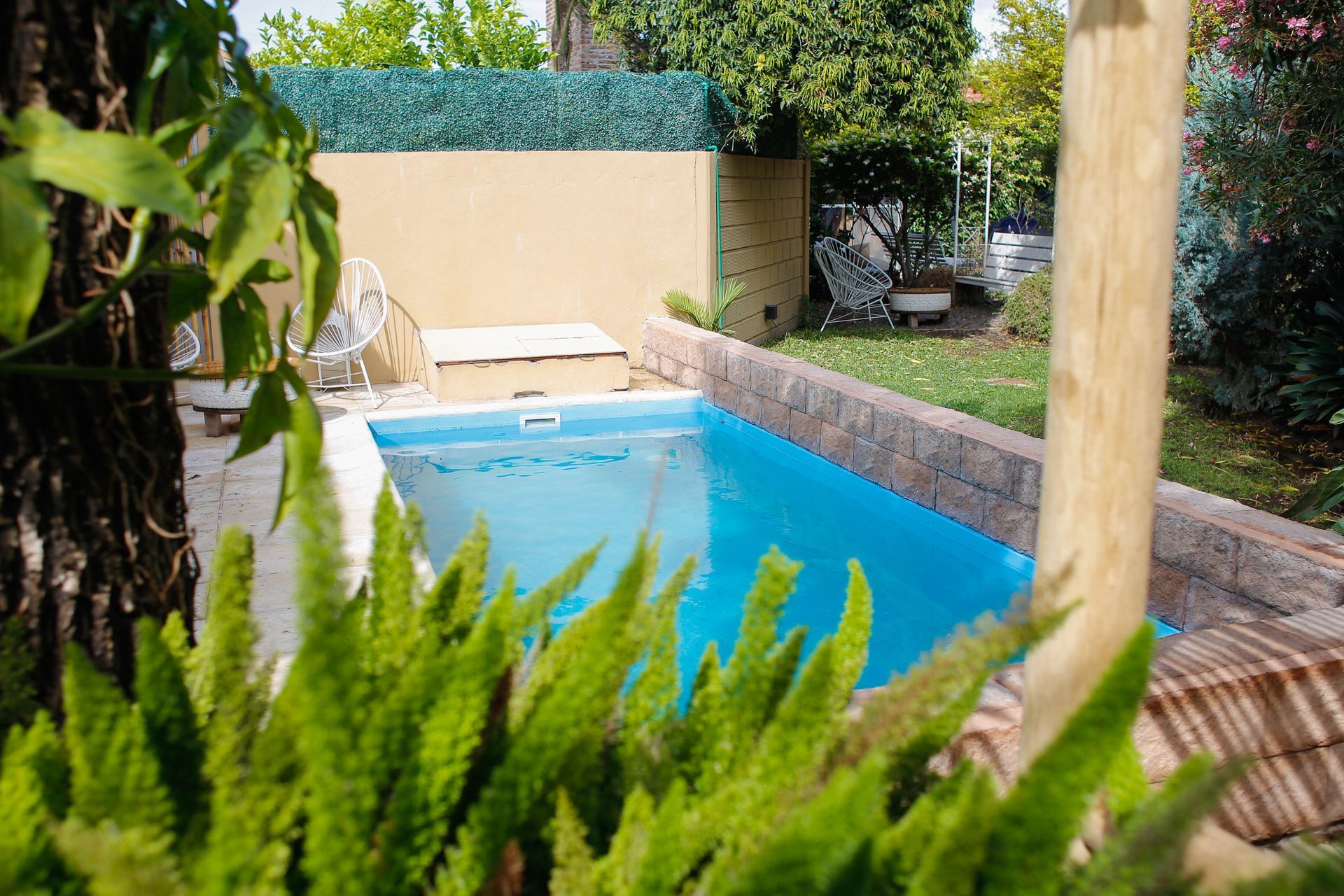 Una pequeña piscina en un patio trasero rodeada de plantas y árboles.