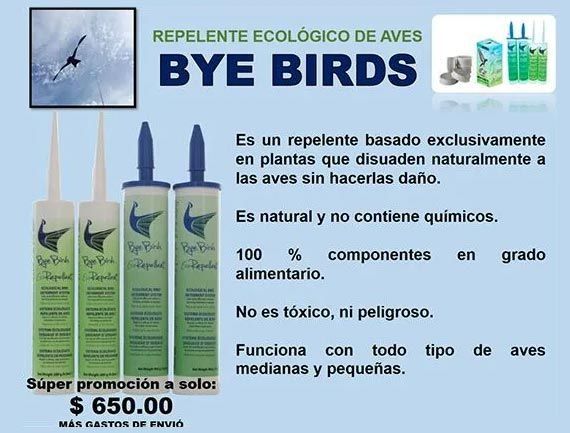 BYE BIRDS