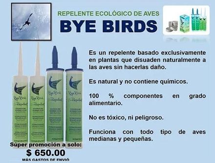 BYE BIRDS