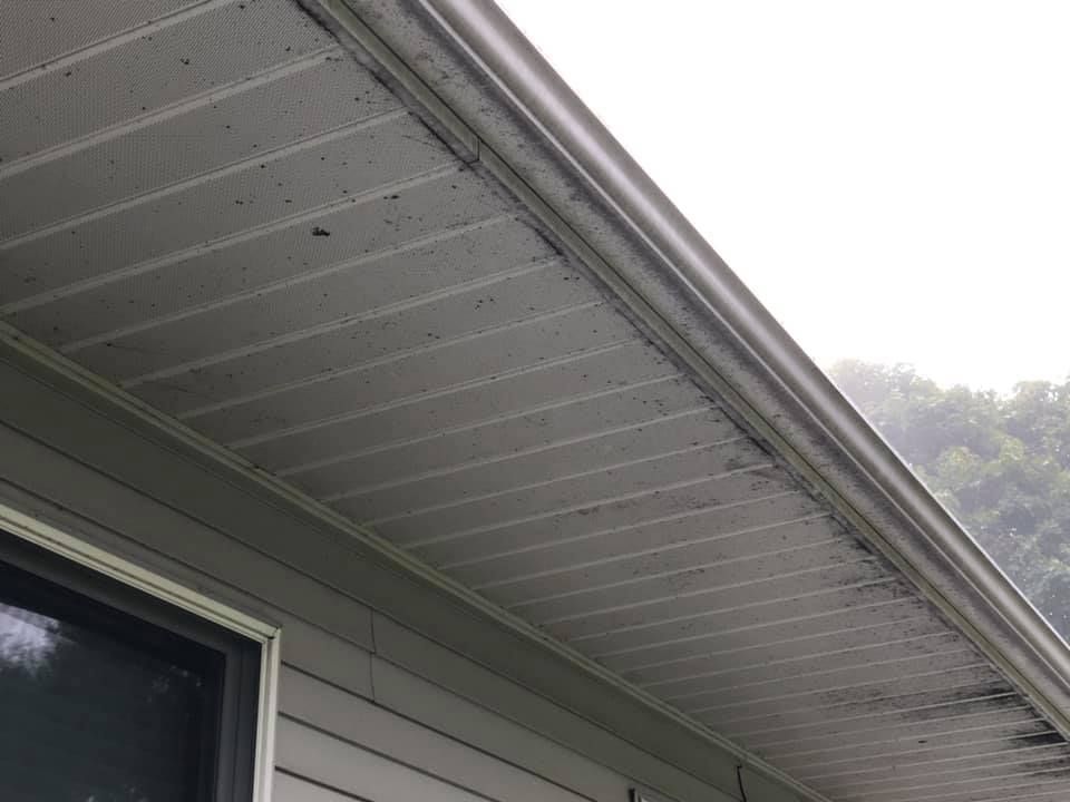 Before Outdoor Ceiling Cleaning