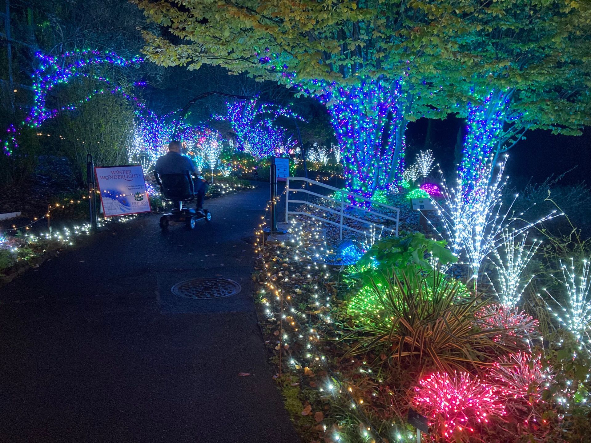 Scooter on a pathway through holiday light show. 