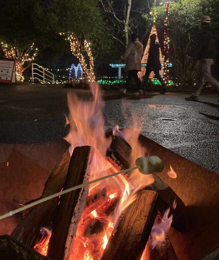 roasting marshmallows at a light exhibit