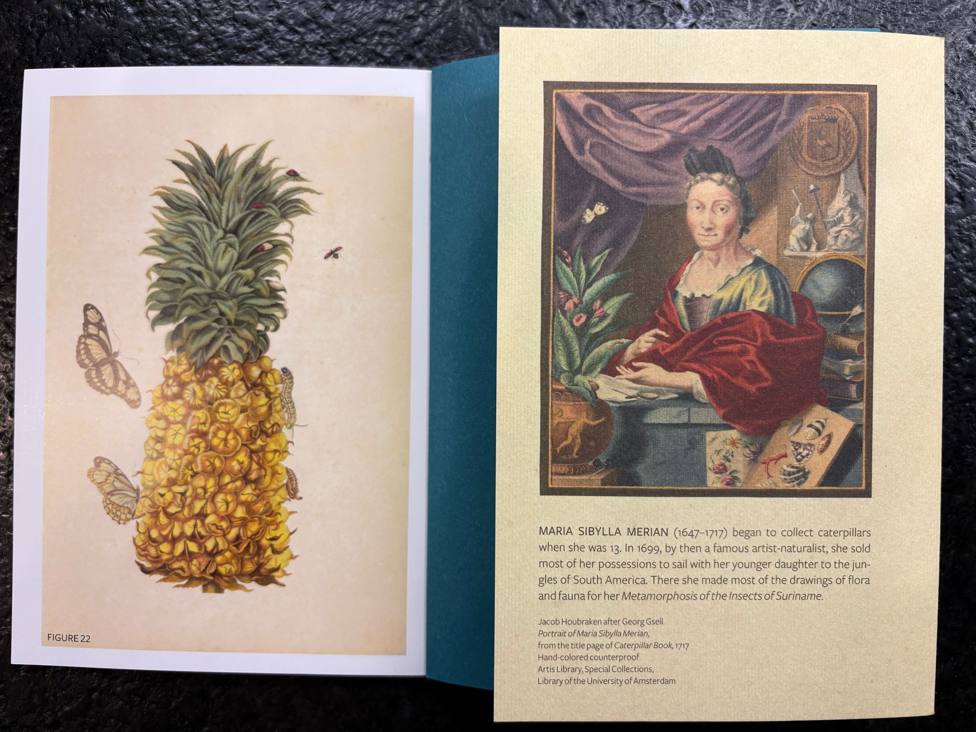 Greeting card: Pineapple art print and portrait of woman with text.