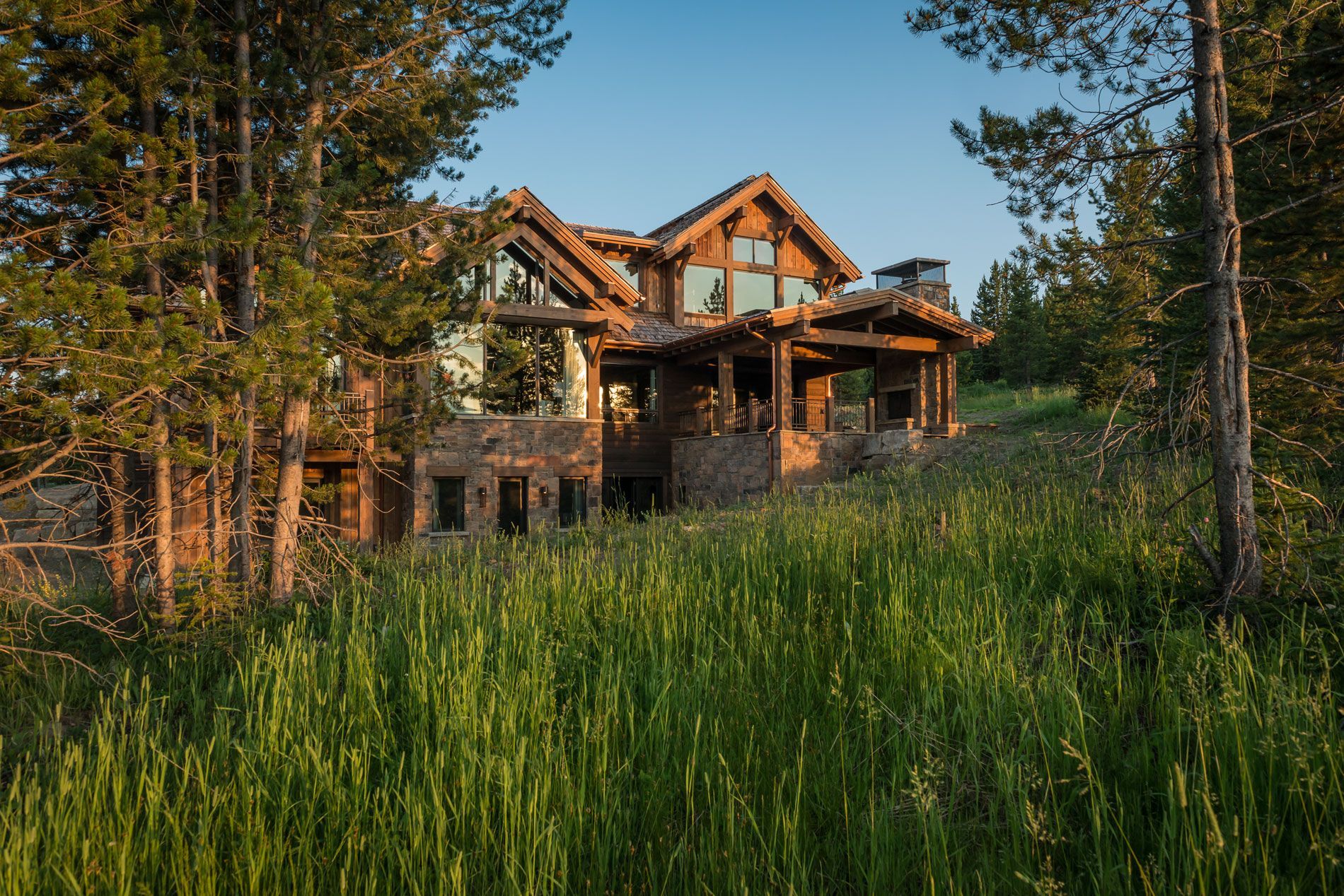 Wooden cabin in a pine forest, with tall green grass in the foreground at sunset