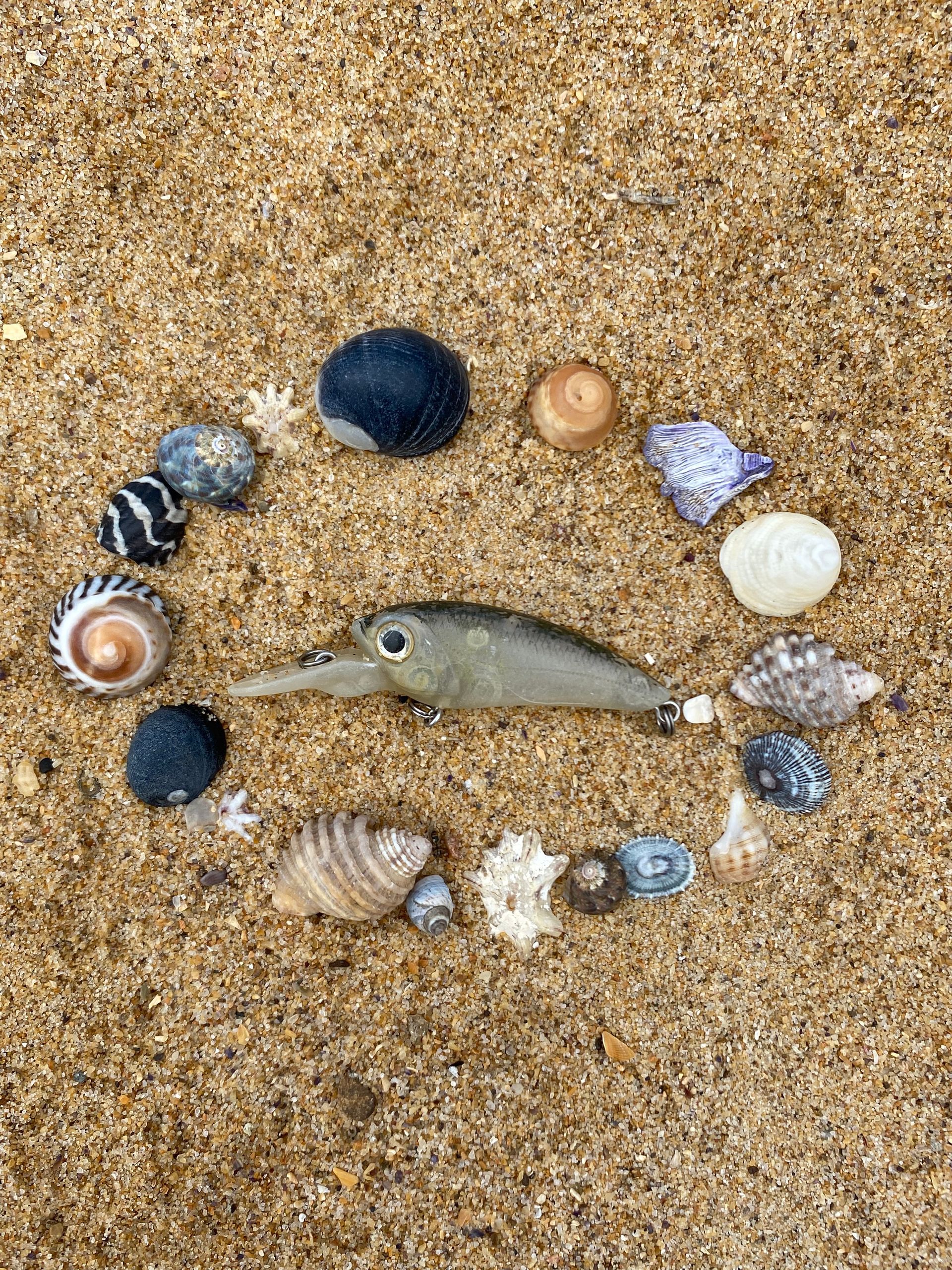 Mandala of shells