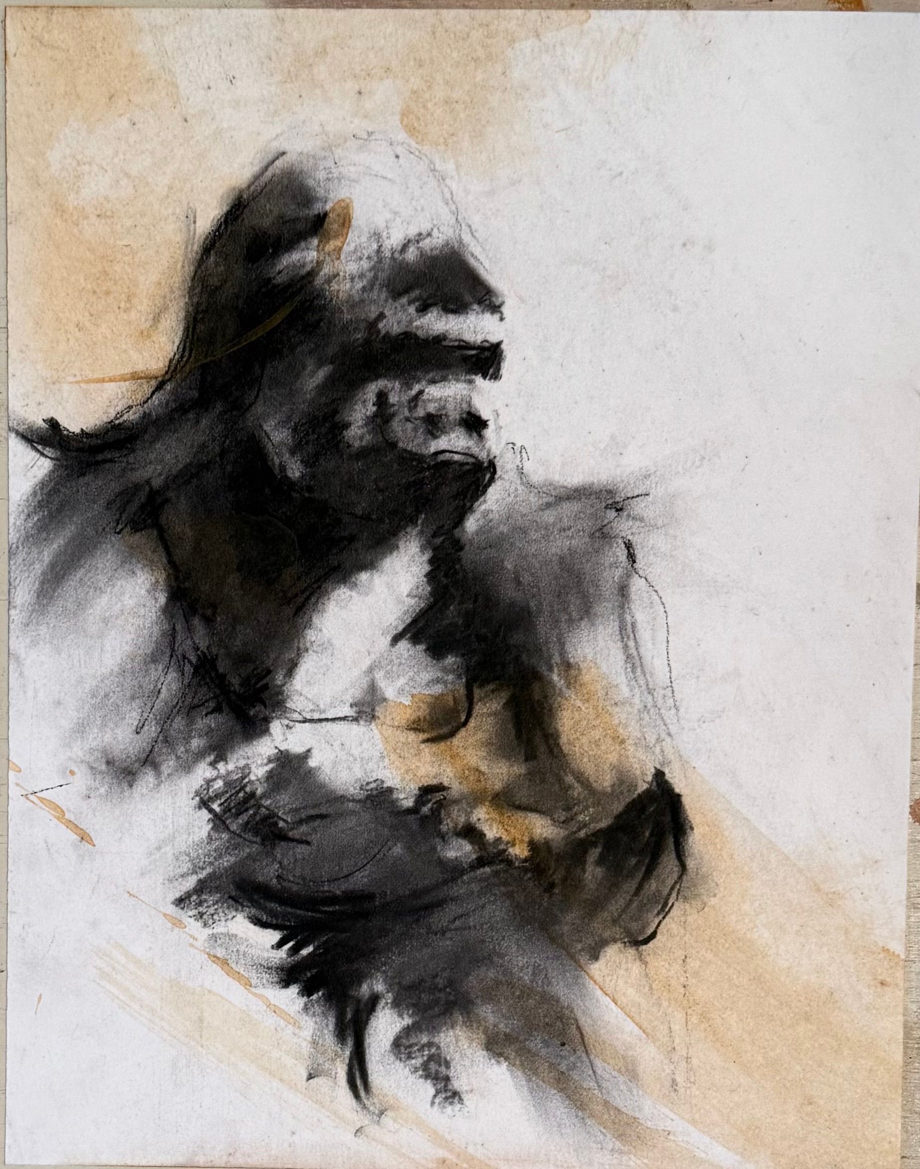 Charcoal drawing of a gorilla; dark fur, expressive face, set against a light brown and white background.