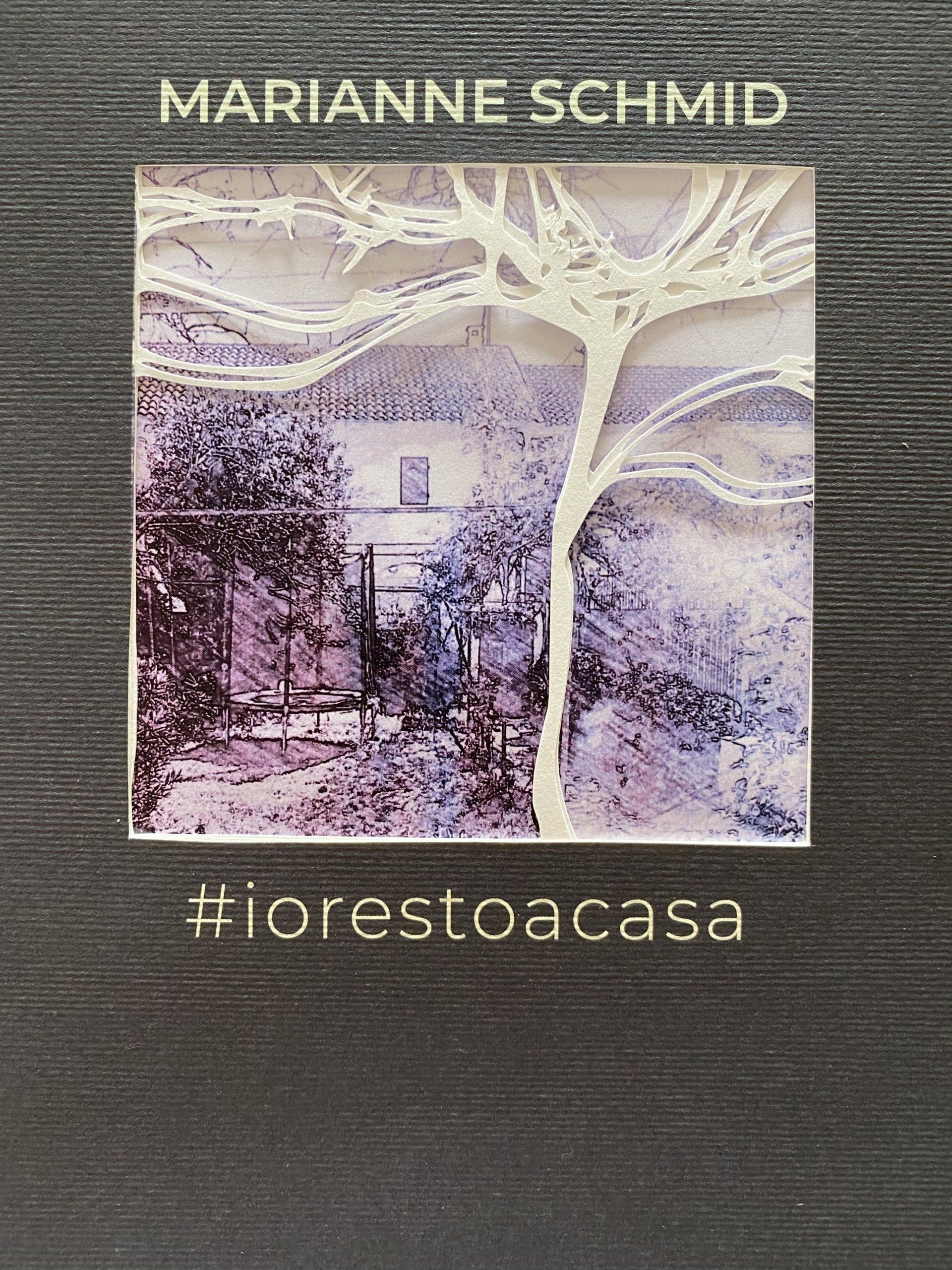 Copertina del libro di #iorestoacasa