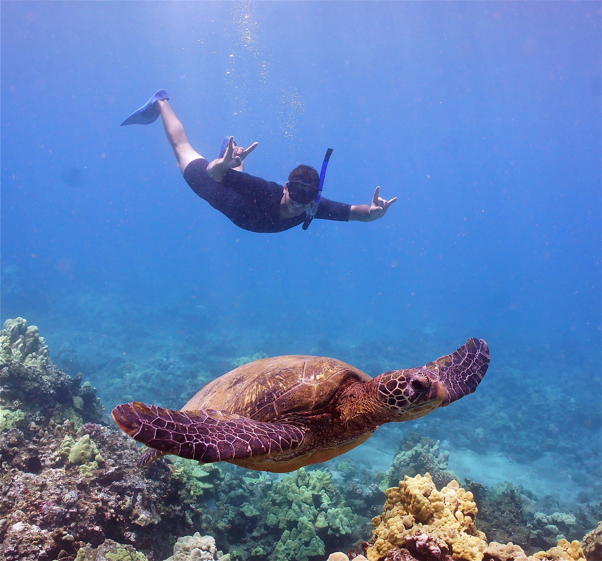 A man is swimming with a sea turtle in the ocean
