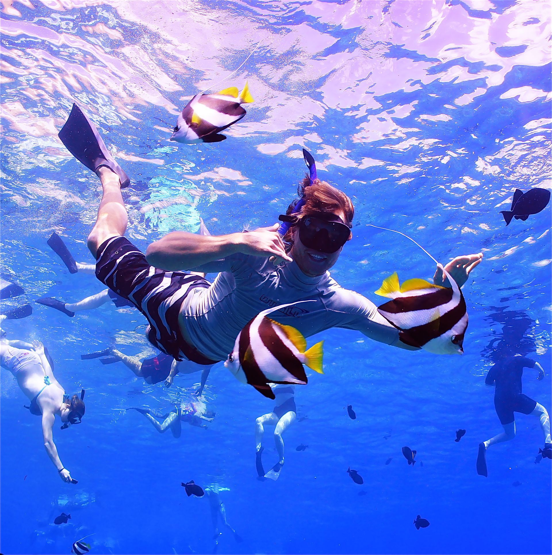 A group of people are swimming with fish in the ocean