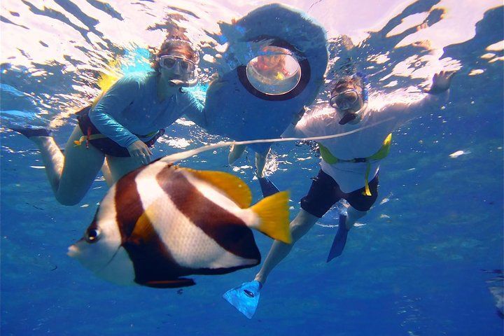 A group of people are swimming with fish in the ocean