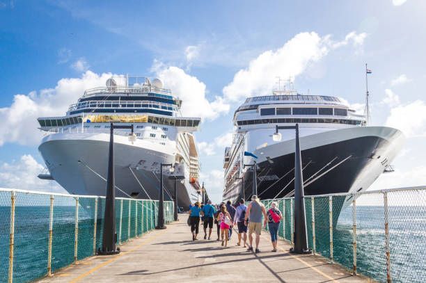 A group of people are walking on a pier next to two cruise ships.