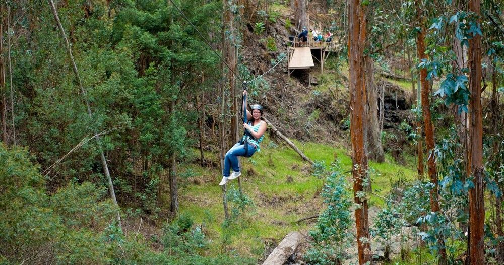 A person is flying through the air on a zip line in the woods.
