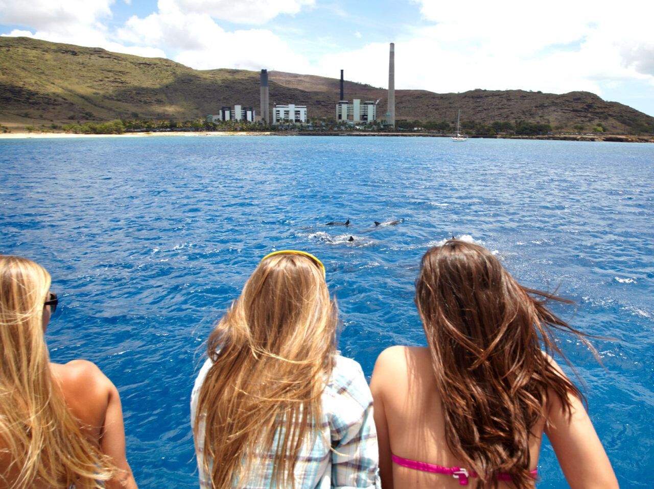 A dolphin is swimming in the ocean near a school of fish.