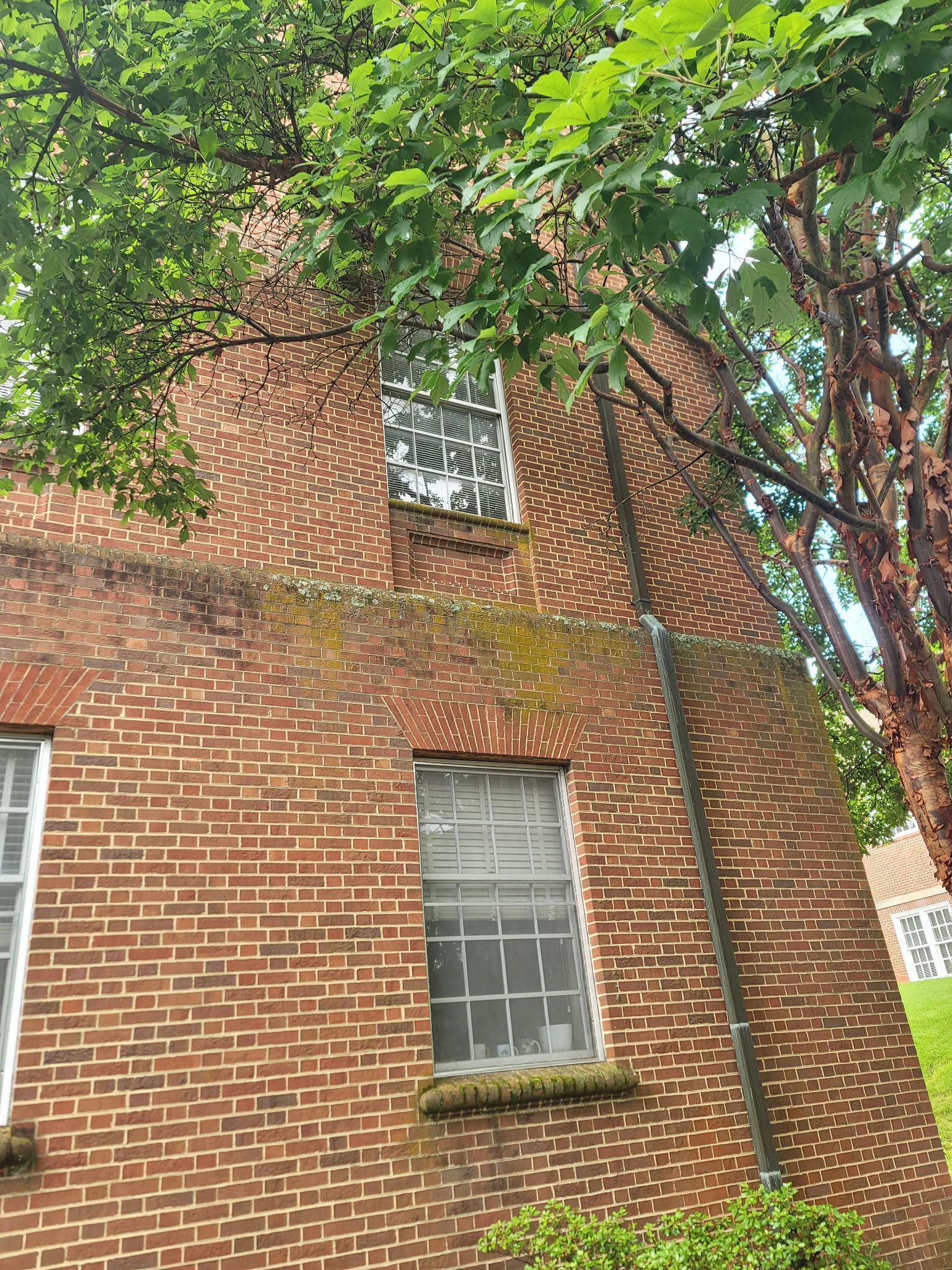 A brick building with a tree in front of it.