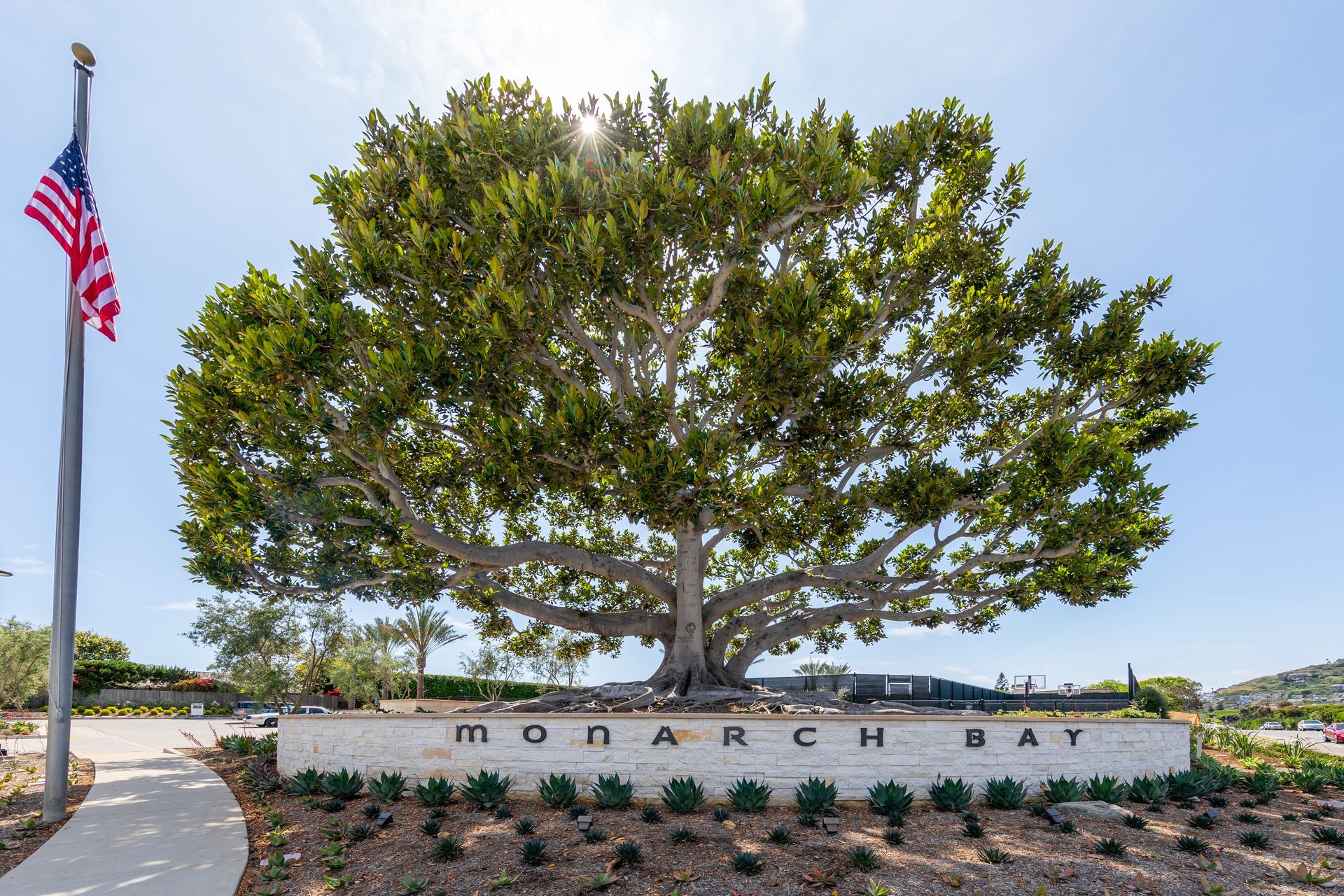 Terrace View Park Pool — San Clemente, CA — Consolidated Contracting