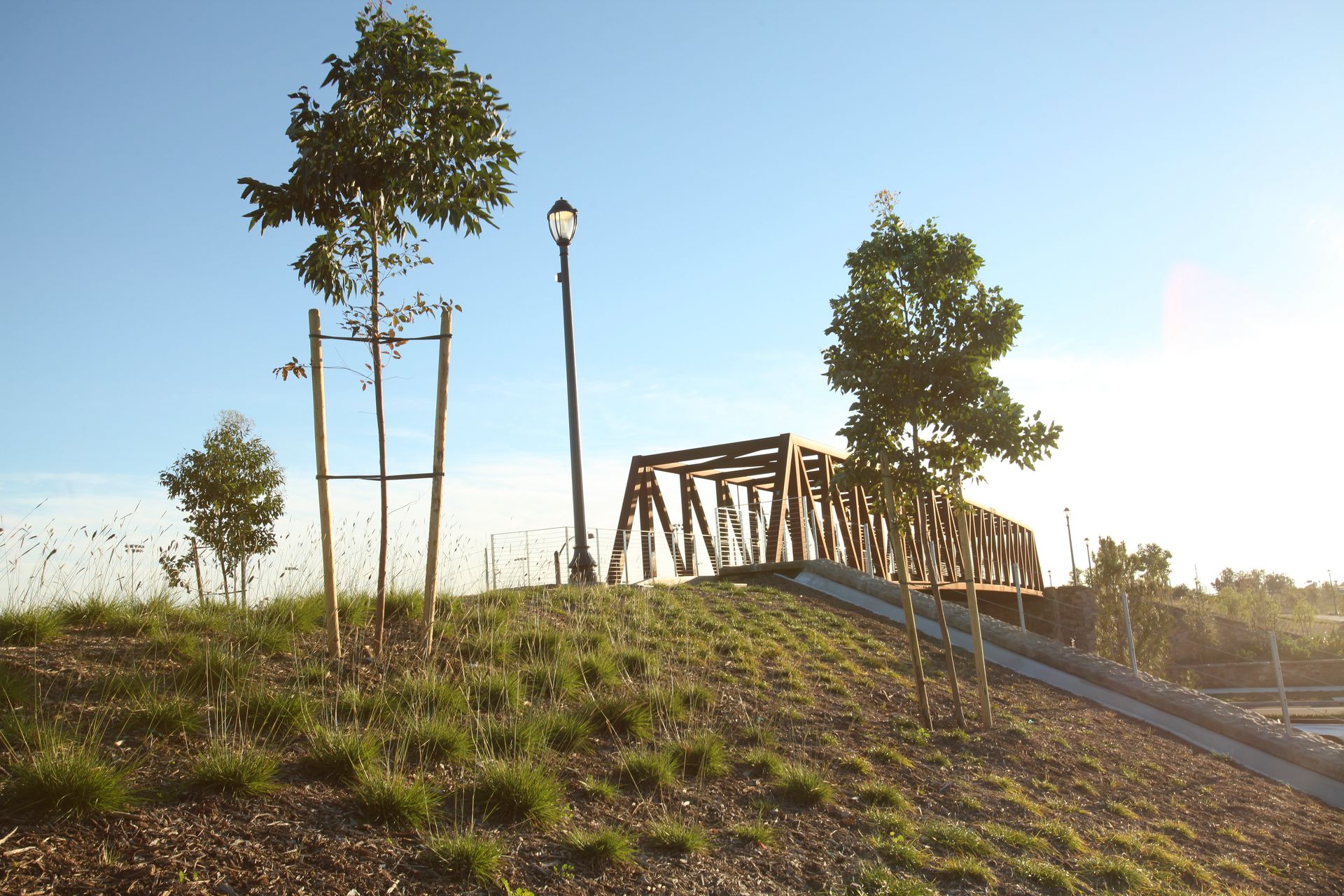 The Pools, Great Park Neighborhoods Metal Trees — San Clemente, CA — Consolidated Contracting