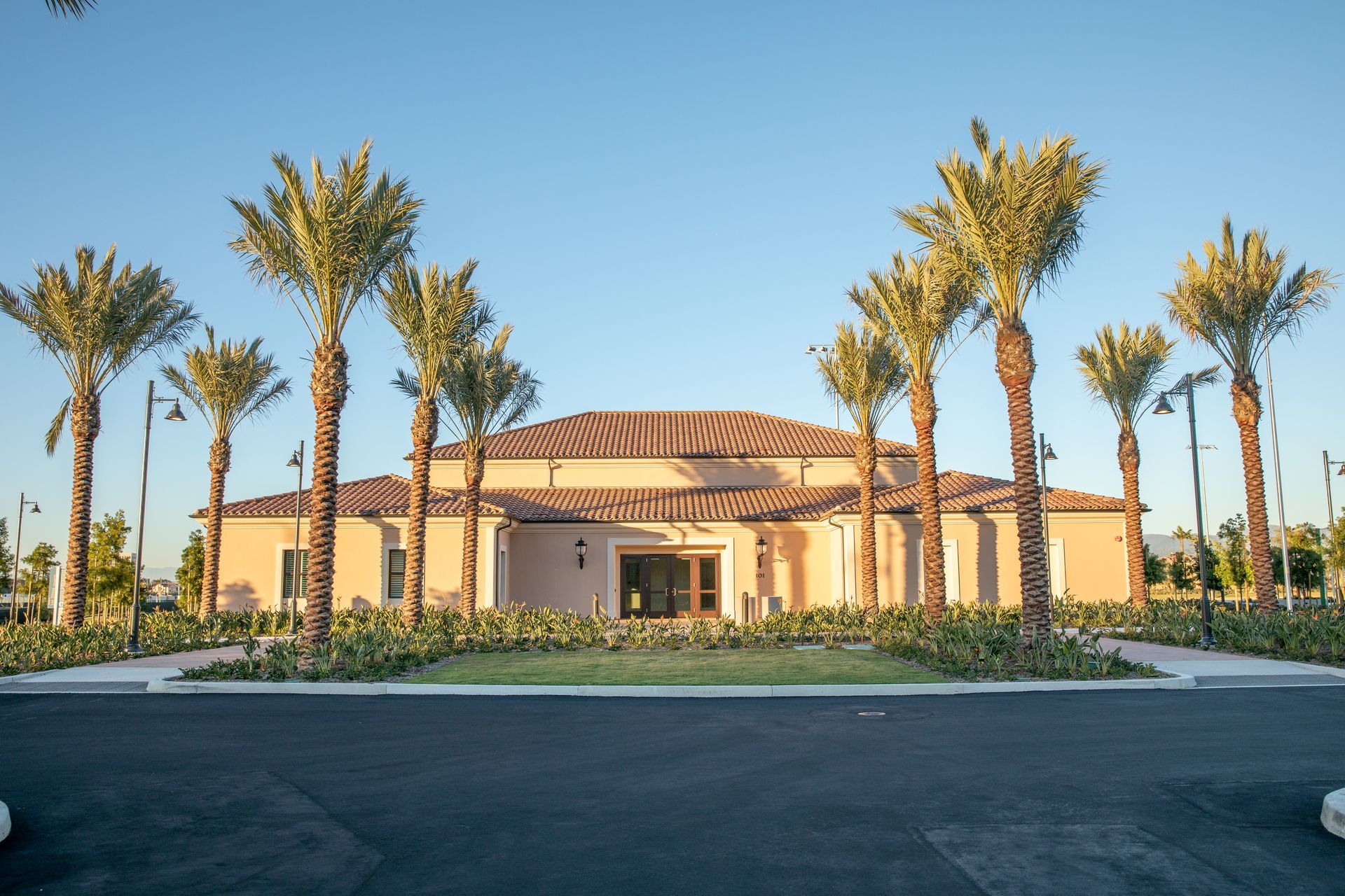 Los Olivos Community Park Palm Trees — San Clemente, CA — Consolidated Contracting