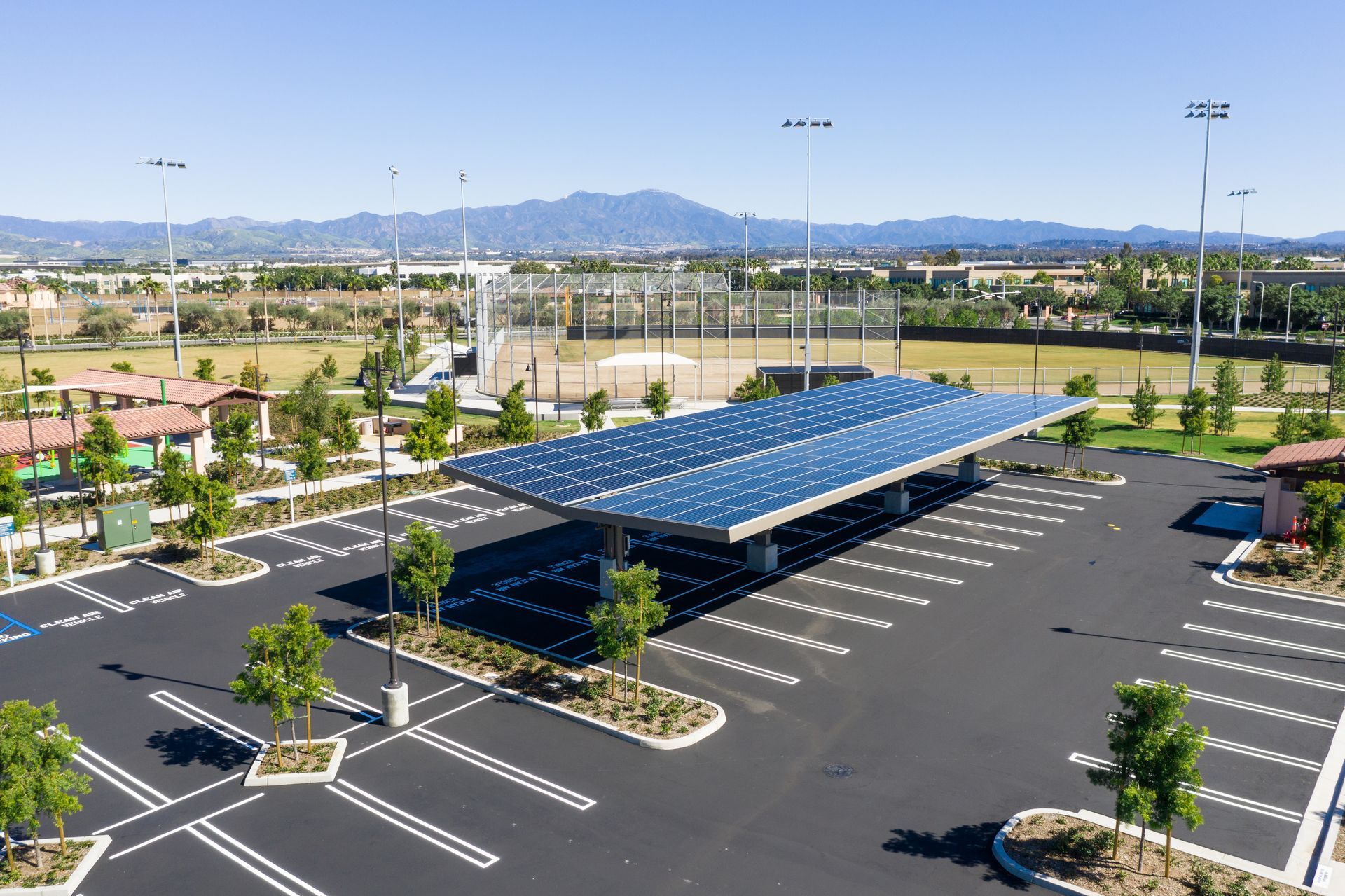 Los Olivos Community Park Palm Trees — San Clemente, CA — Consolidated Contracting