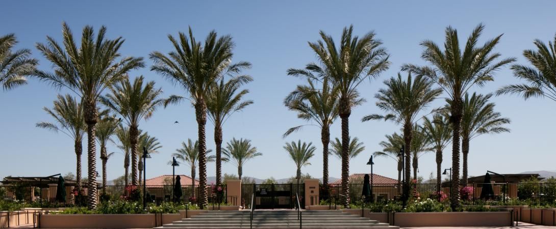 The Village Square Park Palm Trees — San Clemente, CA — Consolidated Contracting