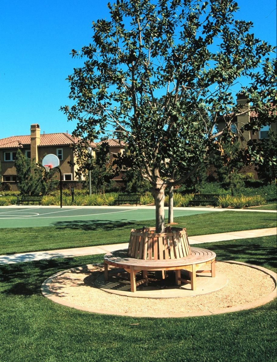 Northpark #12 Park Trees — San Clemente, CA — Consolidated Contracting