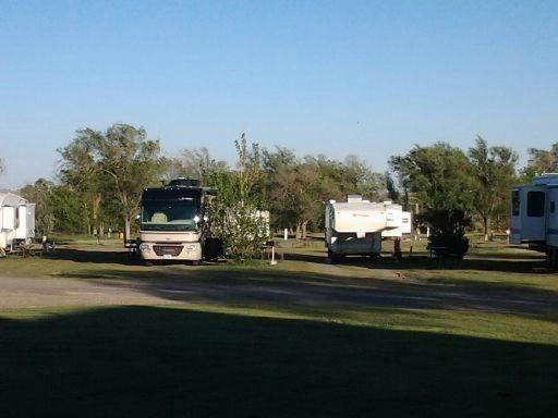 Several recreational vehicles parked on a grassy, tree-lined lot under a clear blue sky.