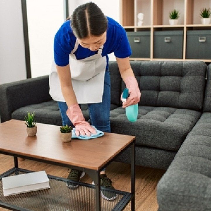 Cleaning Company Professional Cleaning Services in Olympia, WA Sofia's Cleaning Express LLC