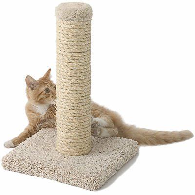 Pet Cat Tree Scratcher — Studio City, CA — Rusty’s Discount Pet Center