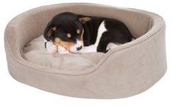 Dog Sleeping on His Comfy Bed — Studio City, CA — Rusty’s Discount Pet Center