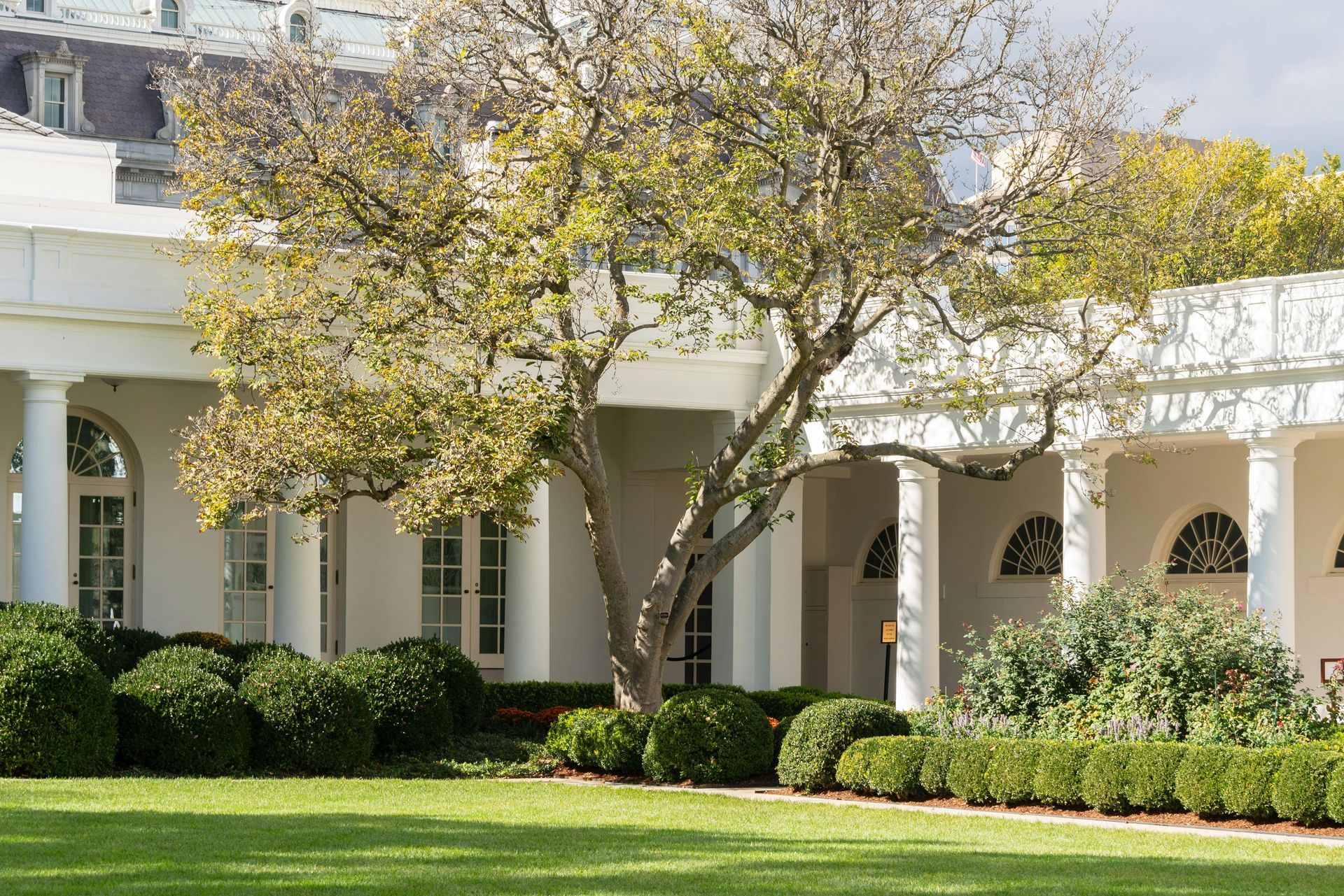 A white house with a tree in front of it