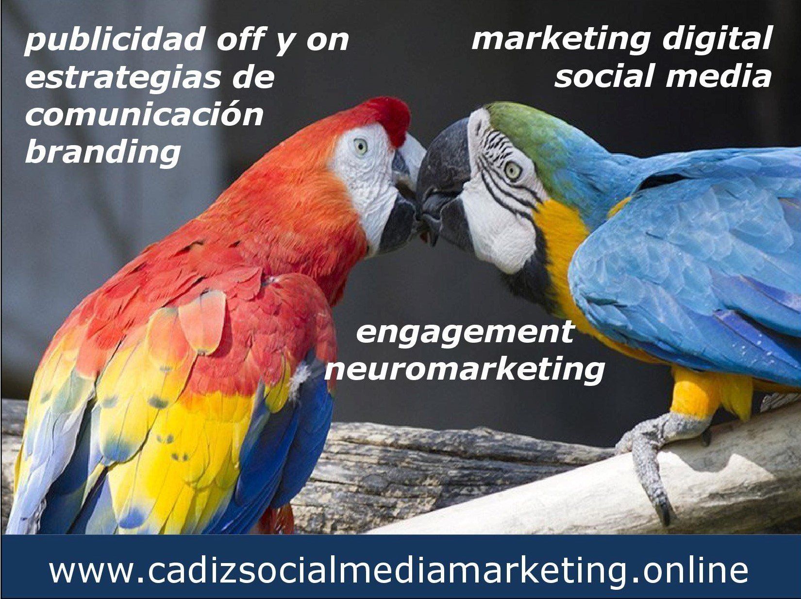 Marketing Digital. Social Media. Comunicación. Publicidad.