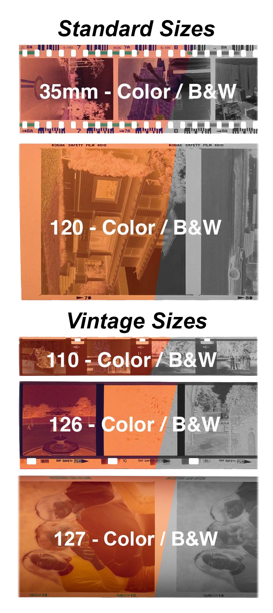 film roll format examples