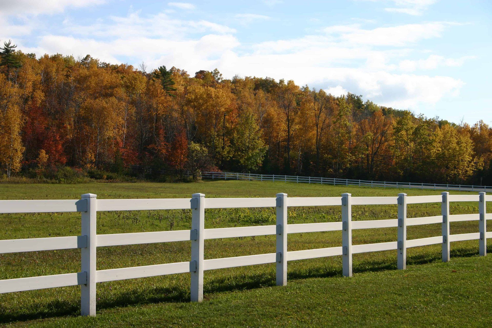 Post and rail fencing raleigh nc