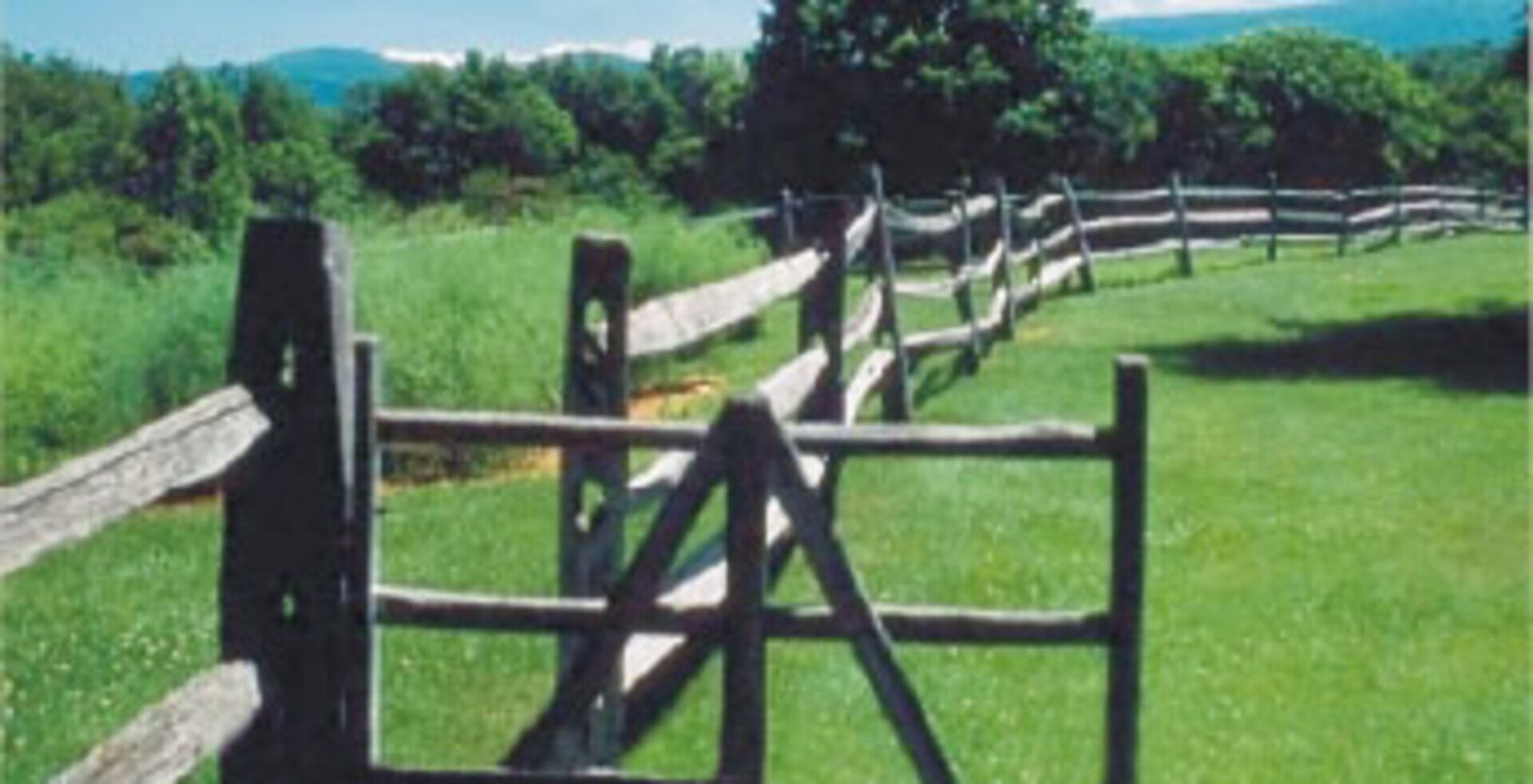 Informática Cayasta, Software para la industria agropecuaria.