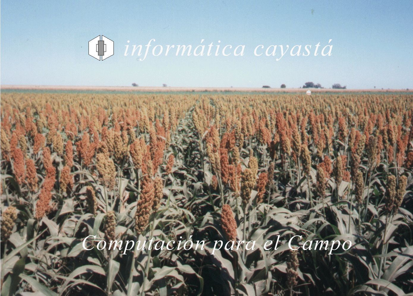 Informática Cayasta, Software para la industria agropecuaria.