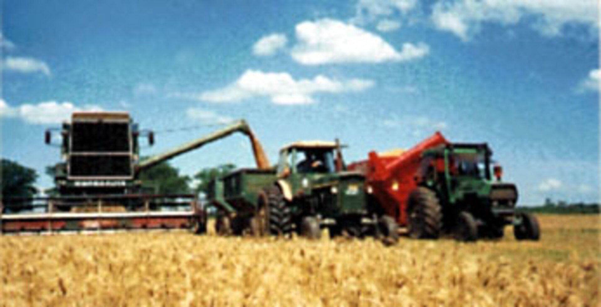 Informática Cayasta, Software para la industria agropecuaria.