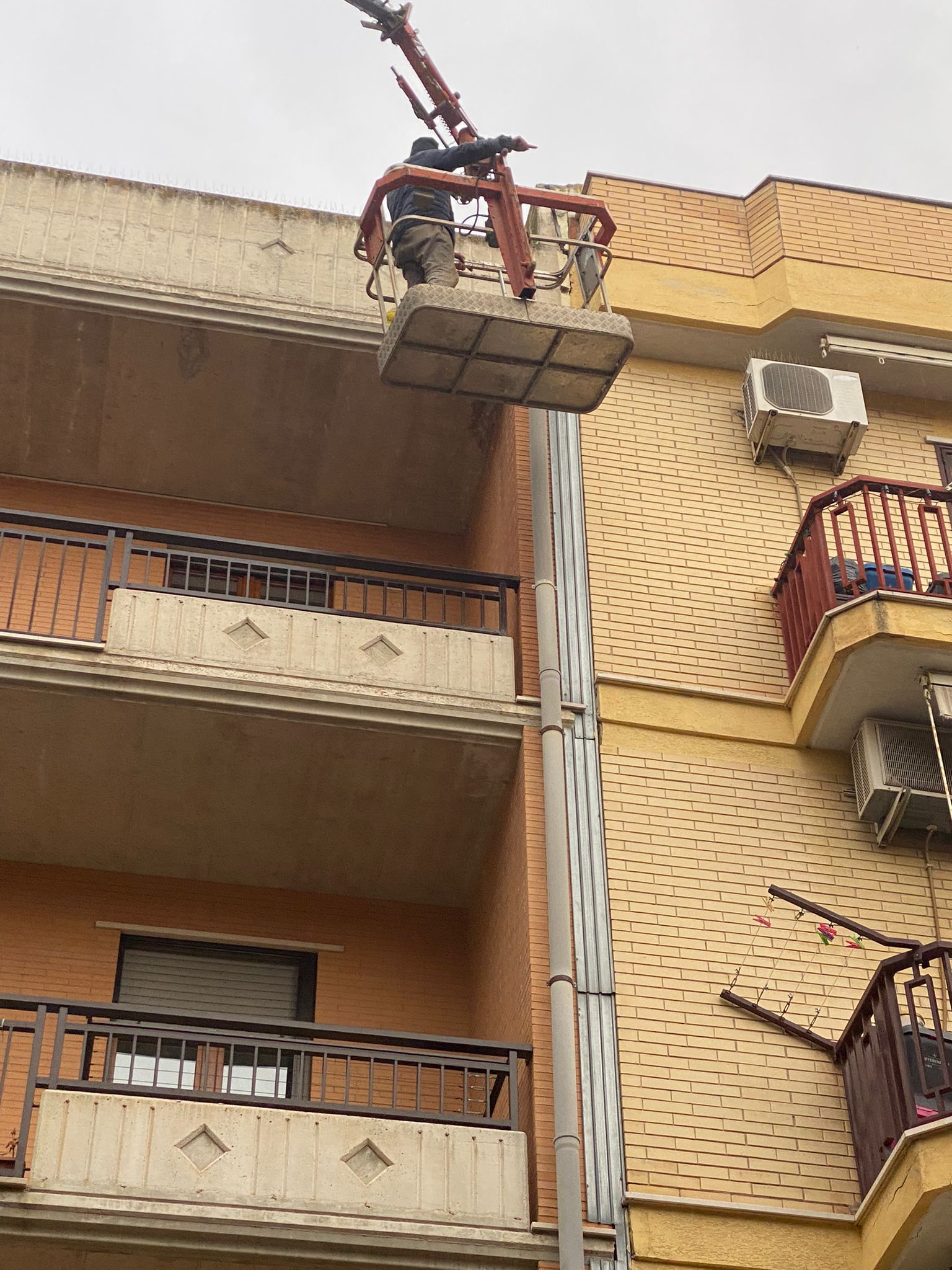 noleggio gru con cestello