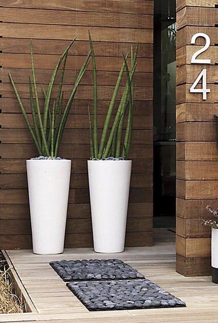 maceta con planta en entrada de casa