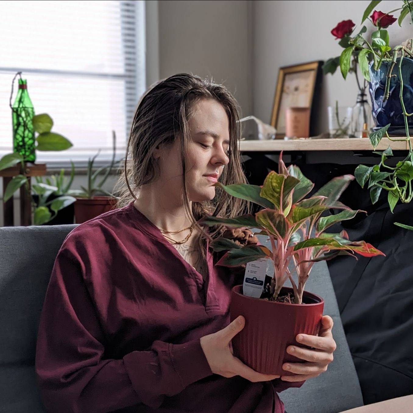 A woman in a maroon shirt is holding a potted plant