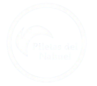 A blue and white logo for piletas del nahuel