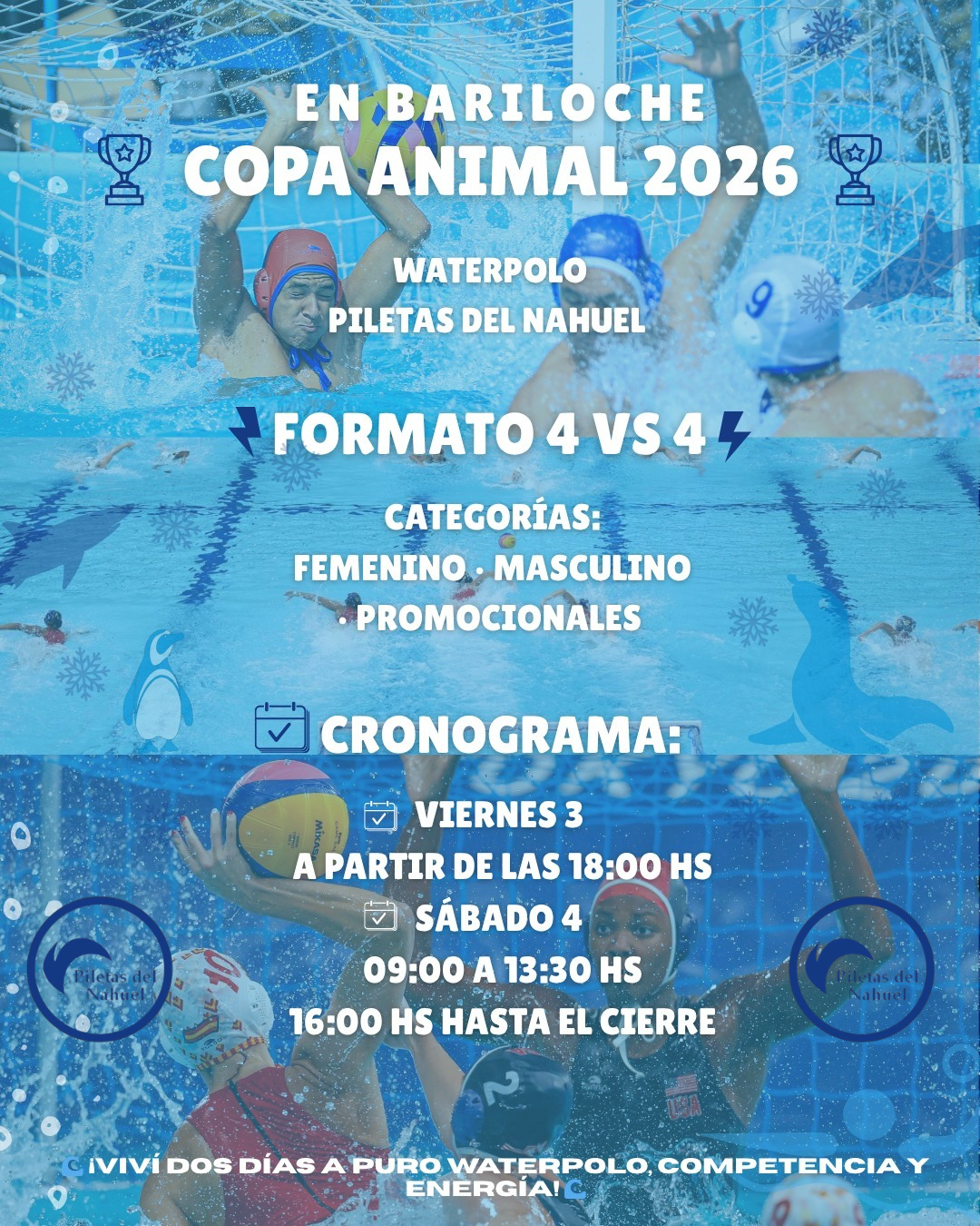 Cartel del evento Copa Animal 2026, torneo de waterpolo que se celebrará en Bariloche, con información sobre el formato de juego, las categorías y el calendario.