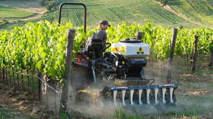 A man is driving a tractor through a vineyard.