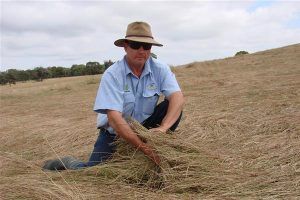 A man in a hat is kneeling down in a field of dry grass.