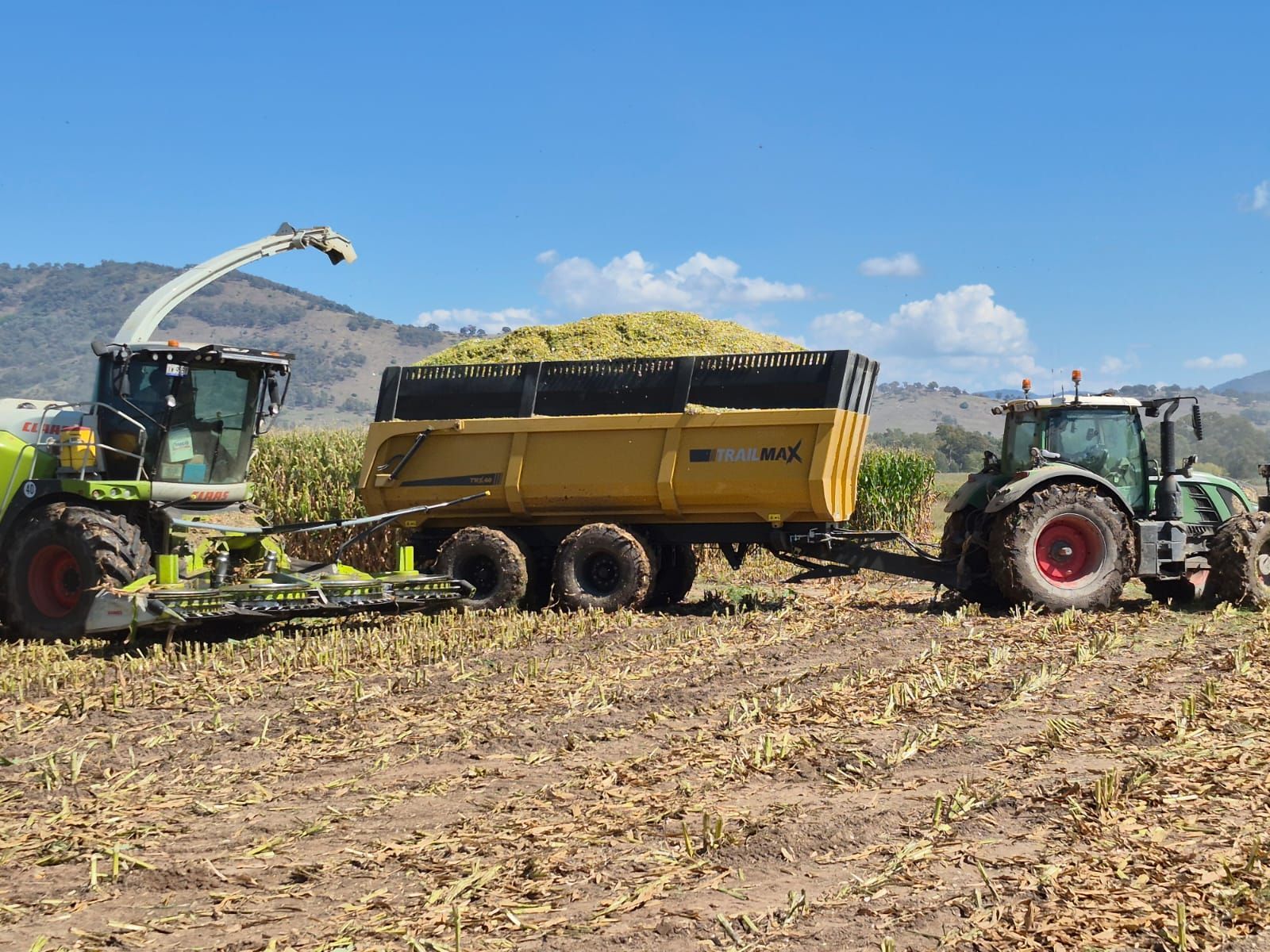 A yellow silage trailer is pulled by a green tractor