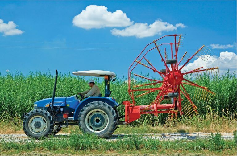 A man is driving a blue tractor in a field.