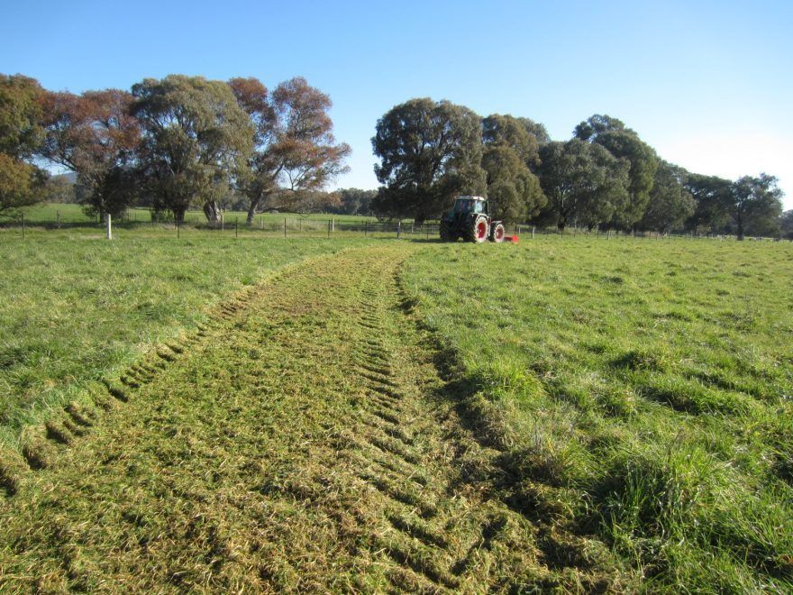 A tractor is cutting grass in a field with trees in the background