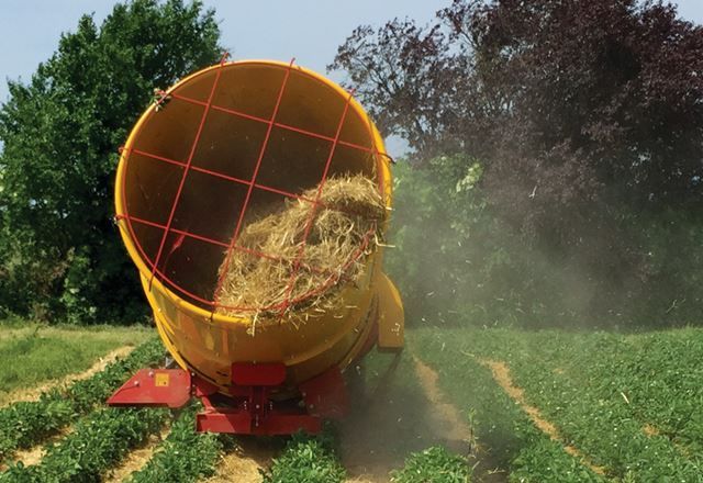 A yellow bucket is filled with hay in a field.