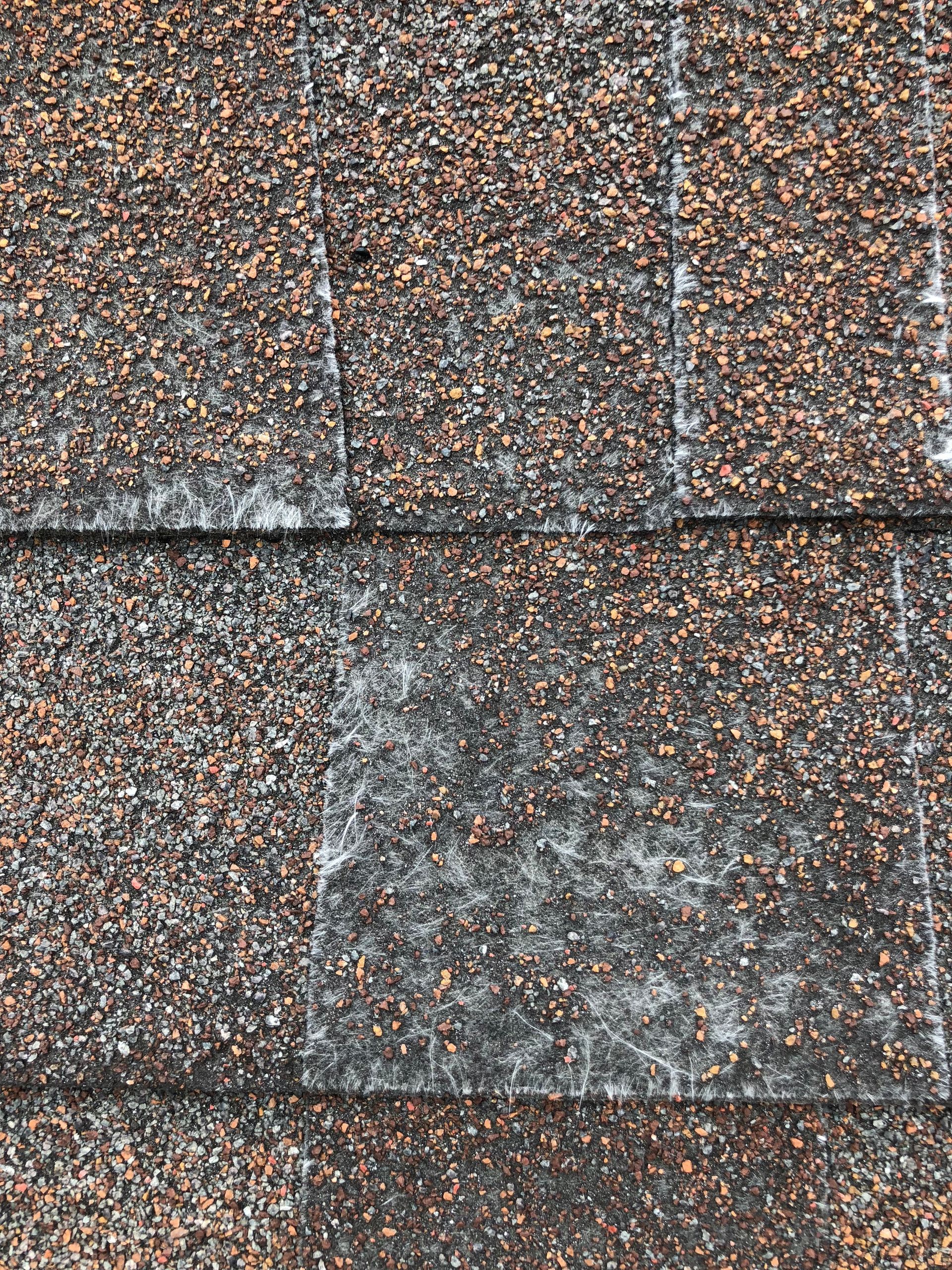 A close up of a roof shingle deteriorating